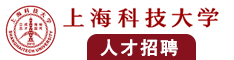 大屌肏老屄视频